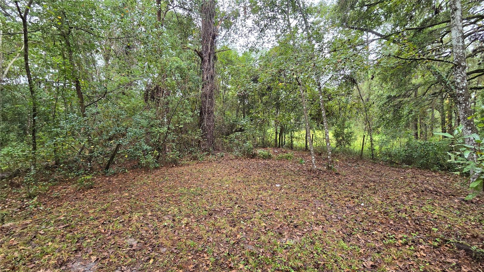 Image 32 of 100 For 18426 Powell Road