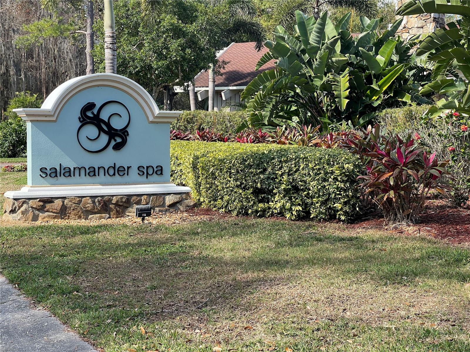 Image 13 of 19 For 36750 Us Highway 19 N 4-205