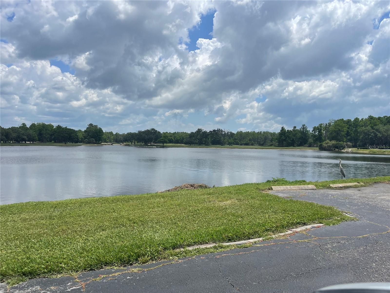 Image 17 of 19 For 36750 Us Highway 19 N 4-205