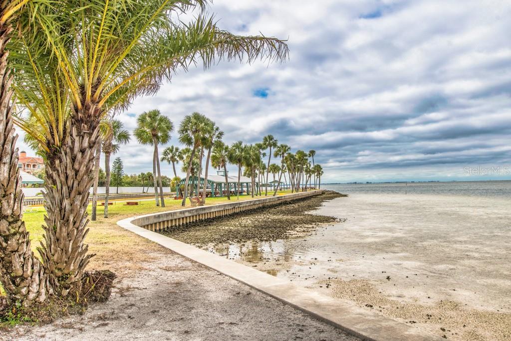 Image 35 of 42 For 4851 Gandy Boulevard B2l38