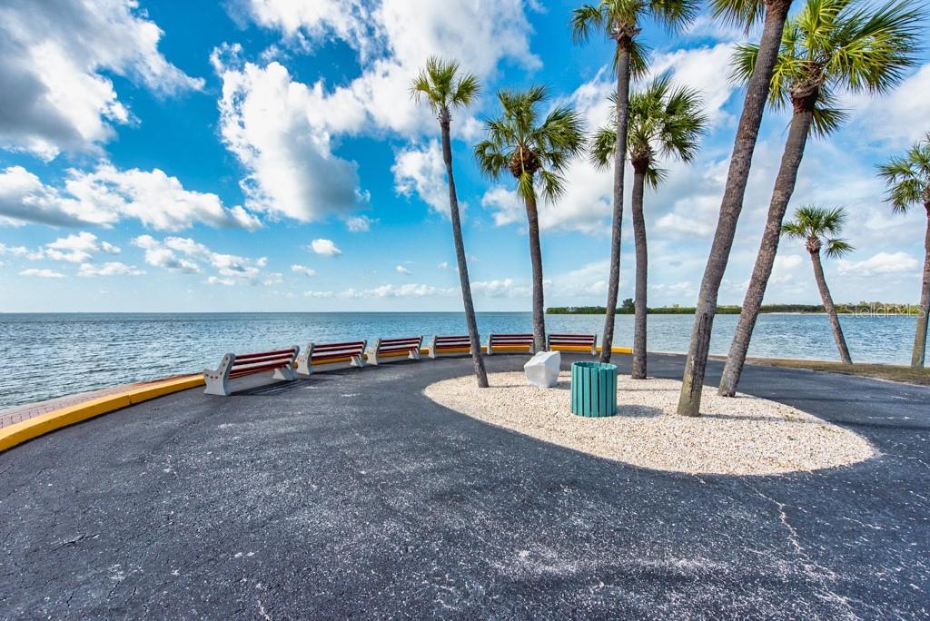 Image 41 of 42 For 4851 Gandy Boulevard B2l38