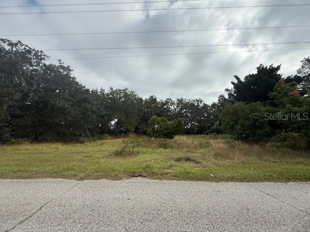 Details for 4202 Drawdy Road, PLANT CITY, FL 33567