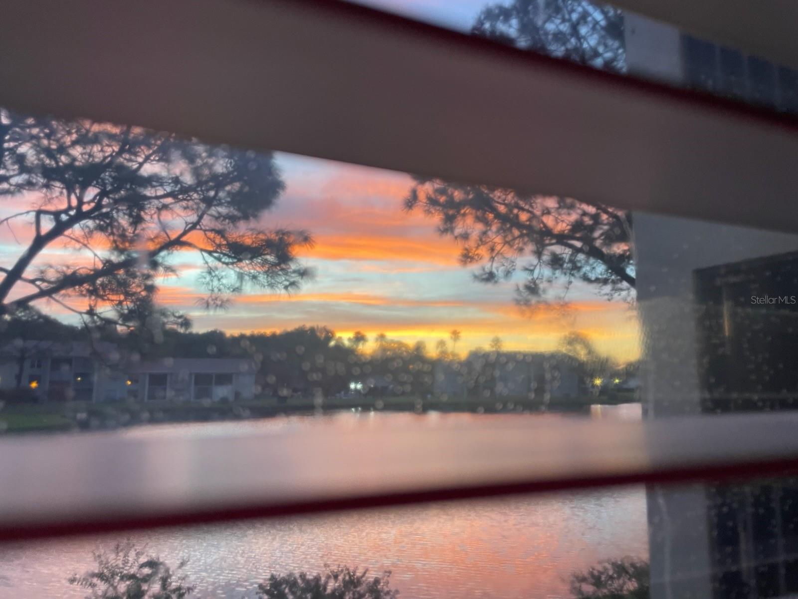 Image 35 of 35 For 4575 Whitton Way 1126