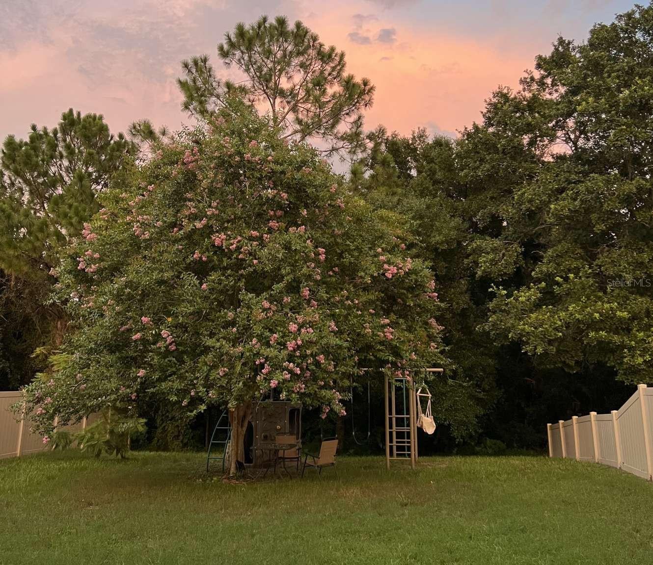 Image 64 of 64 For 1218 Halapa Way