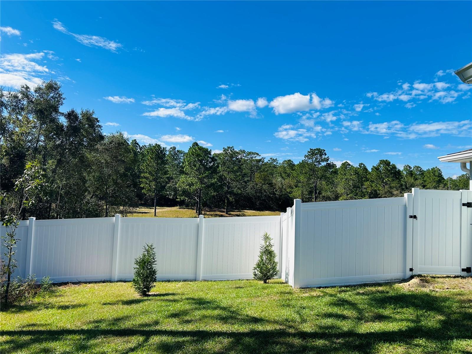 Image 4 of 28 For 8848 Paradisea Drive