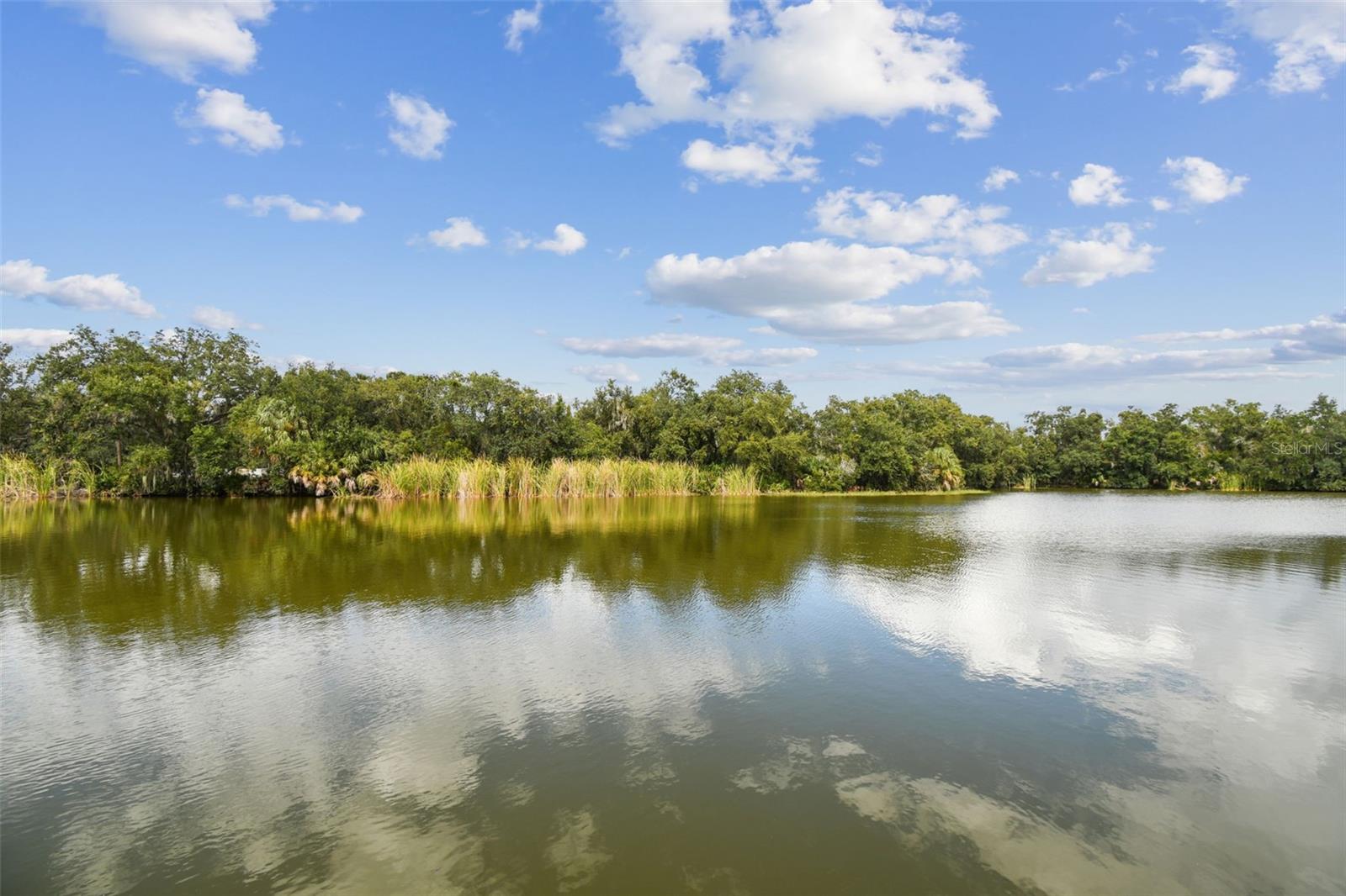 Image 3 of 37 For 9504 Starlite Drive