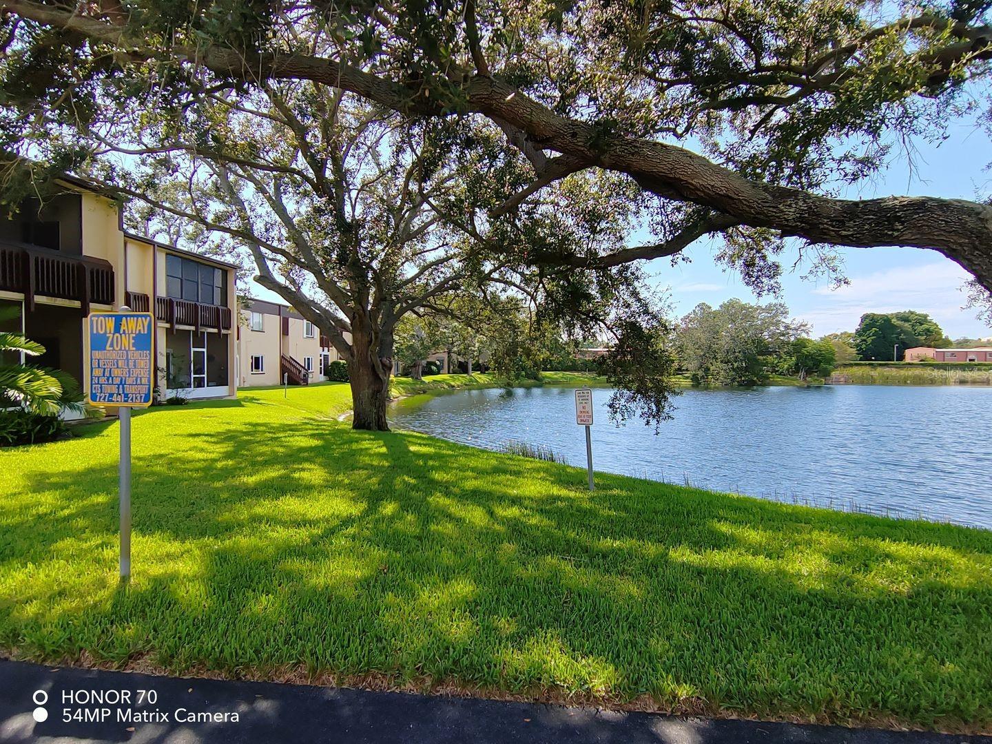 Image 15 of 16 For Address Not Provided