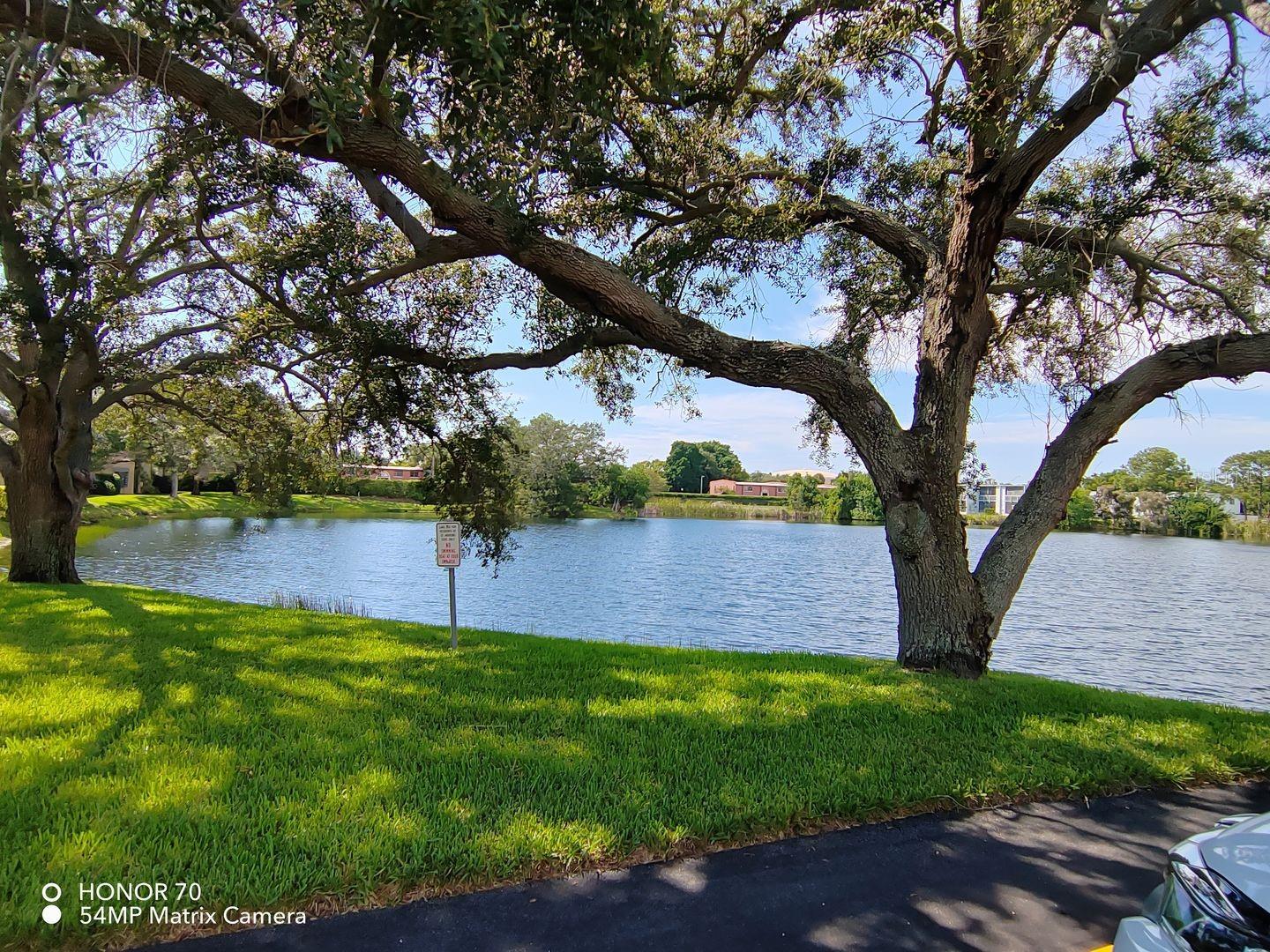 Image 16 of 16 For Address Not Provided