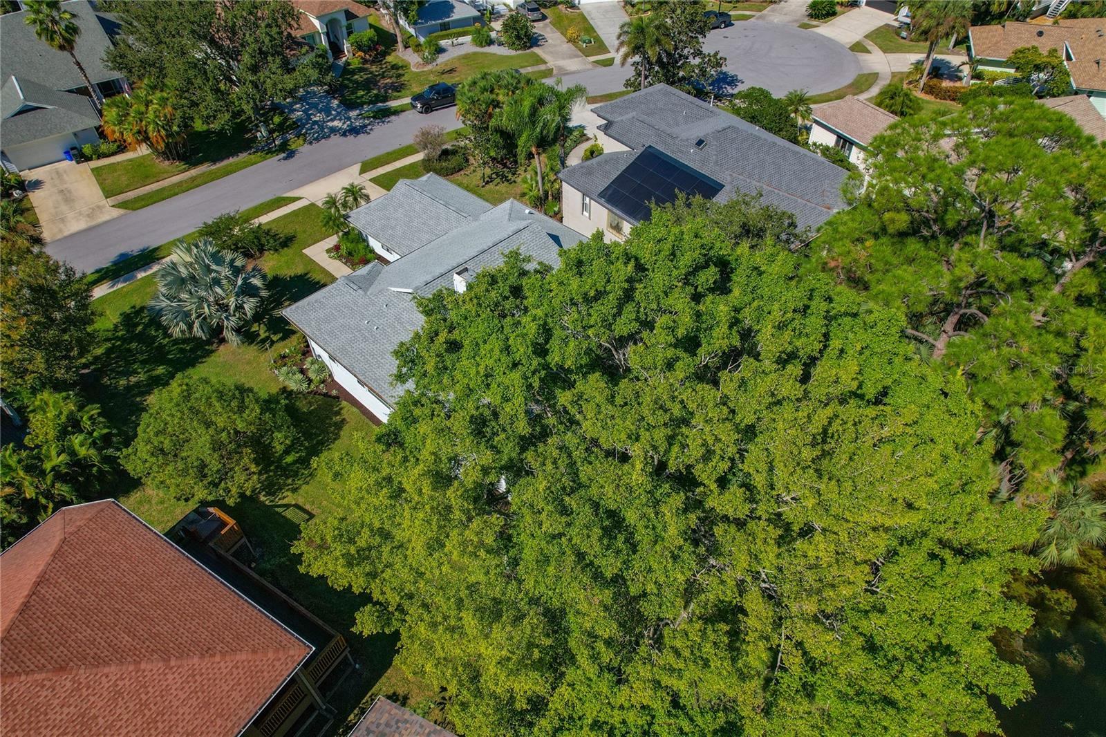Image 81 of 91 For 1004 Osprey Court