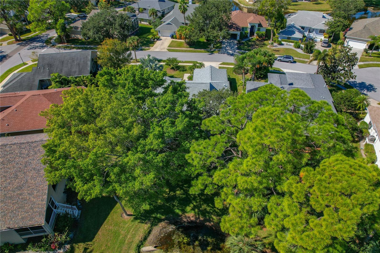Image 88 of 91 For 1004 Osprey Court
