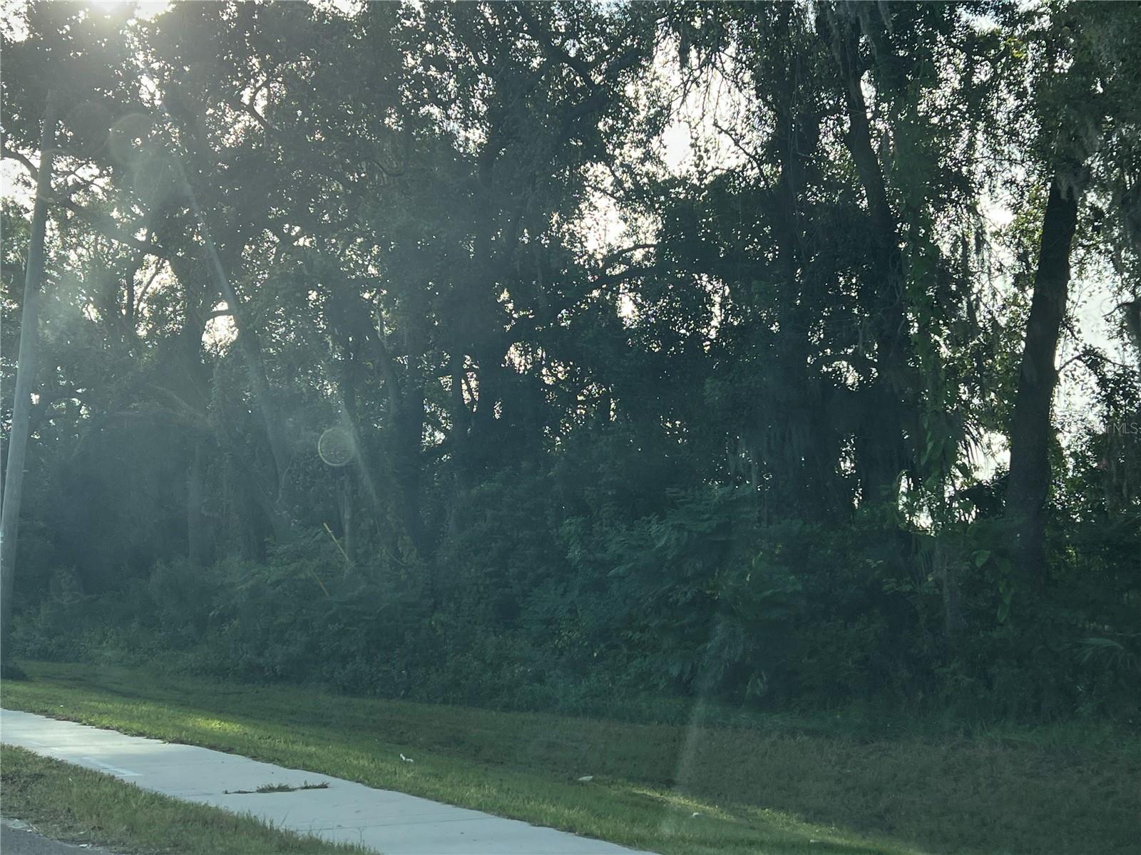 Image 7 of 7 For 8601 Sligh Avenue