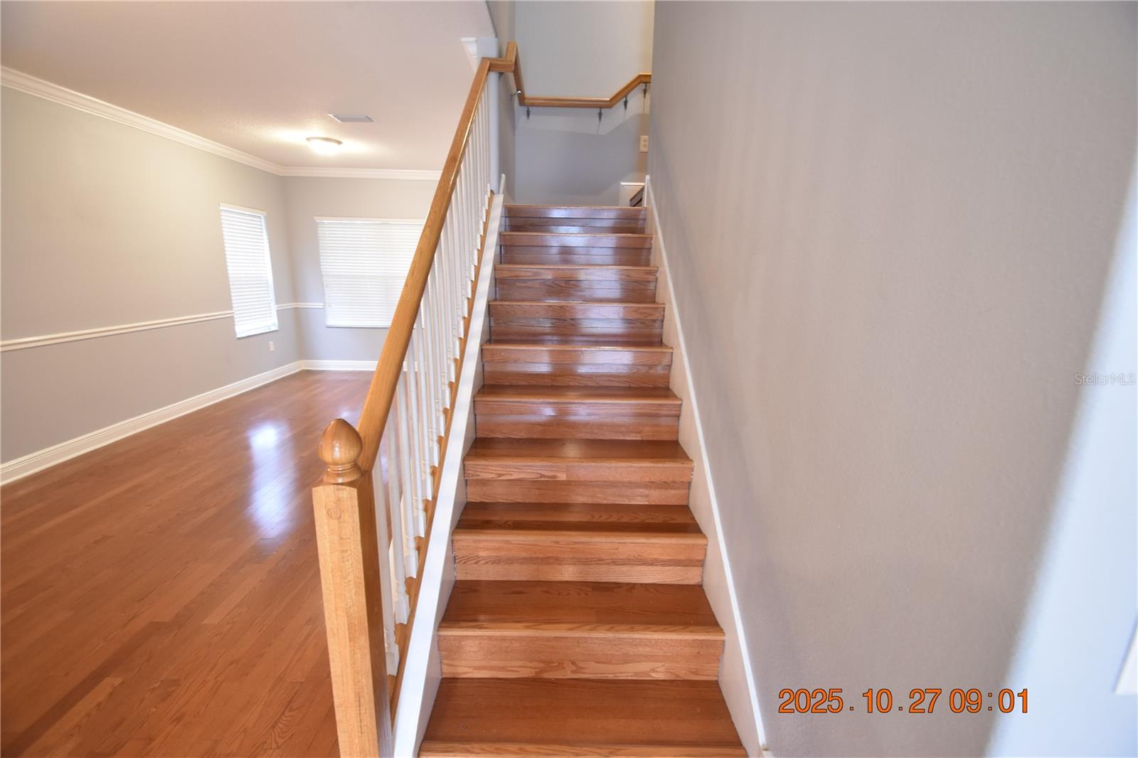 Image 31 of 59 For 8806 Cameron Crest Drive