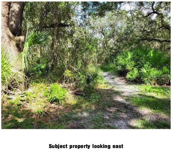 Details for Lantana Avenue, CLEARWATER, FL 33755