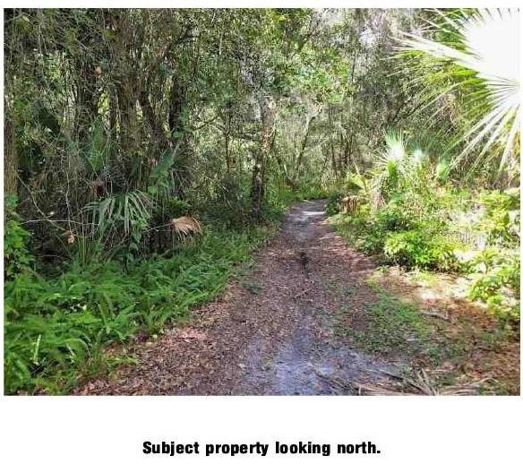 Image 2 of 5 For Lantana Avenue