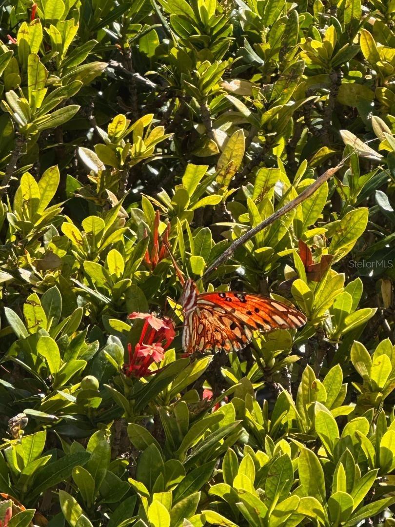 Image 25 of 30 For 4005 Dellbrook Drive