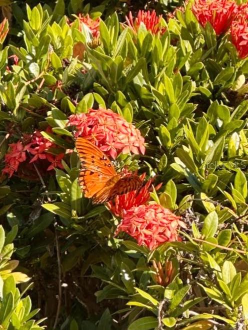 Image 26 of 30 For 4005 Dellbrook Drive