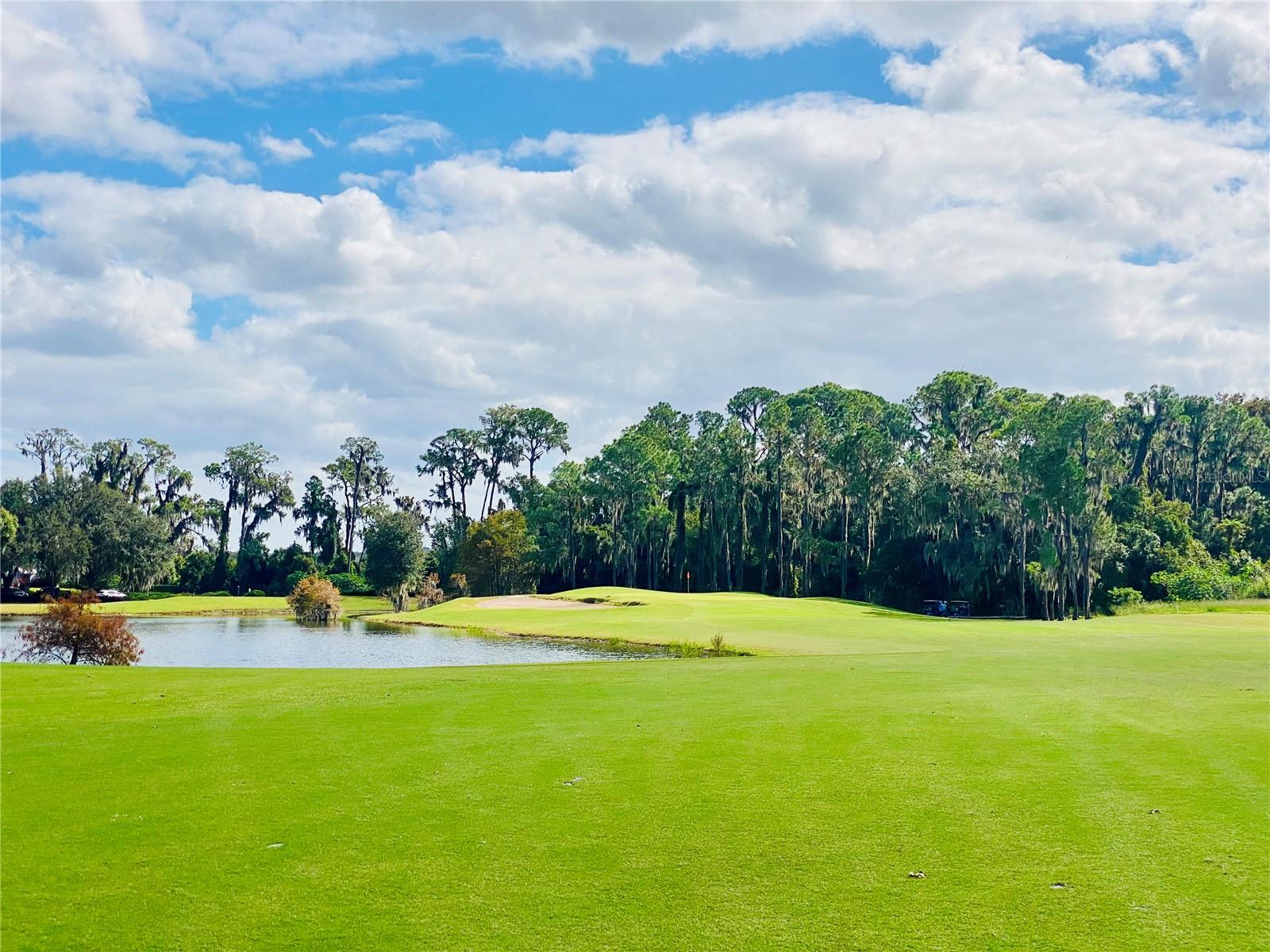 Image 28 of 28 For 18134 Eagles Way