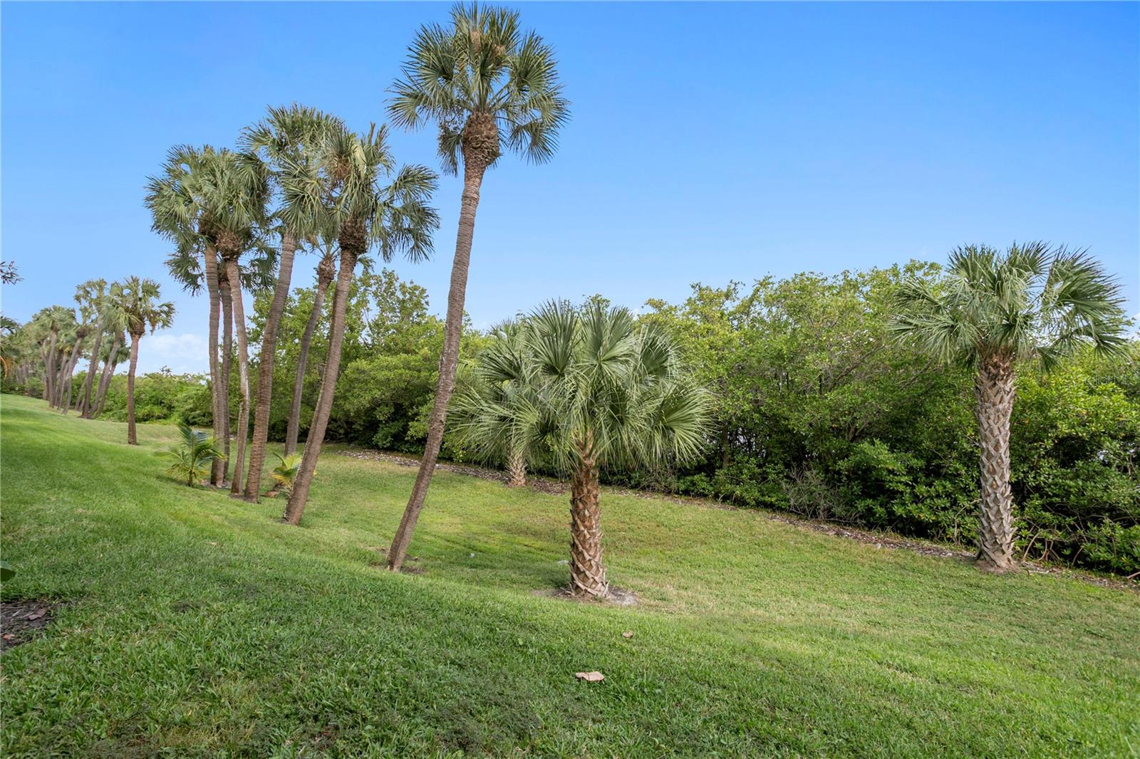 Image 47 of 66 For 1436 Harbour Walk Road