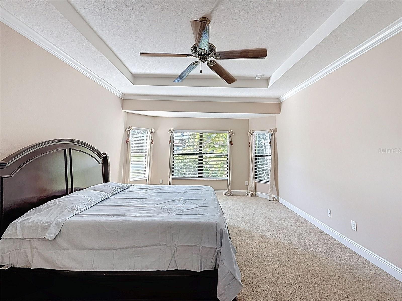 Image 26 of 90 For 335 Cockle Shell Loop