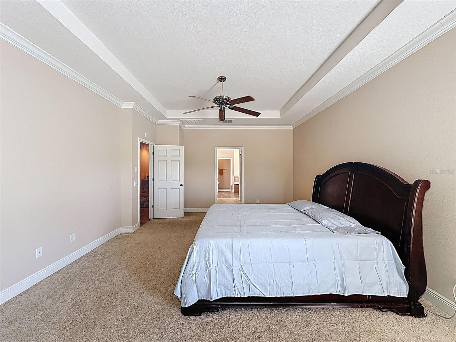 Image 27 of 90 For 335 Cockle Shell Loop