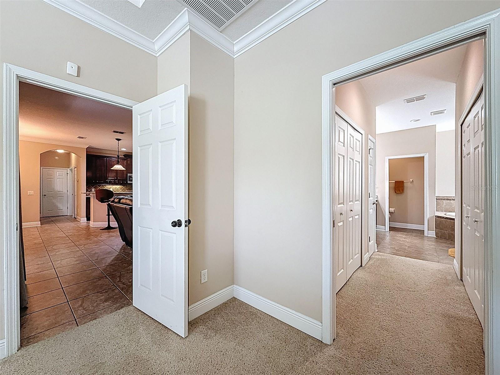 Image 28 of 90 For 335 Cockle Shell Loop