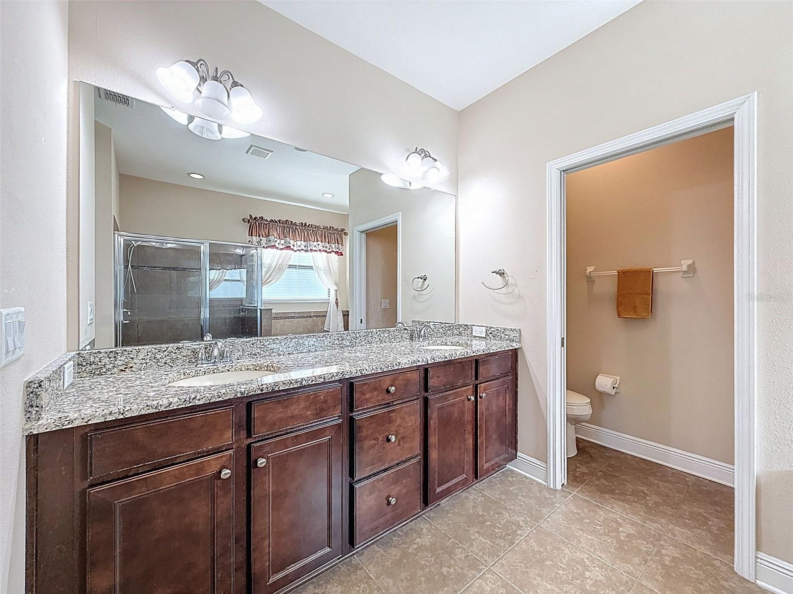 Image 30 of 90 For 335 Cockle Shell Loop