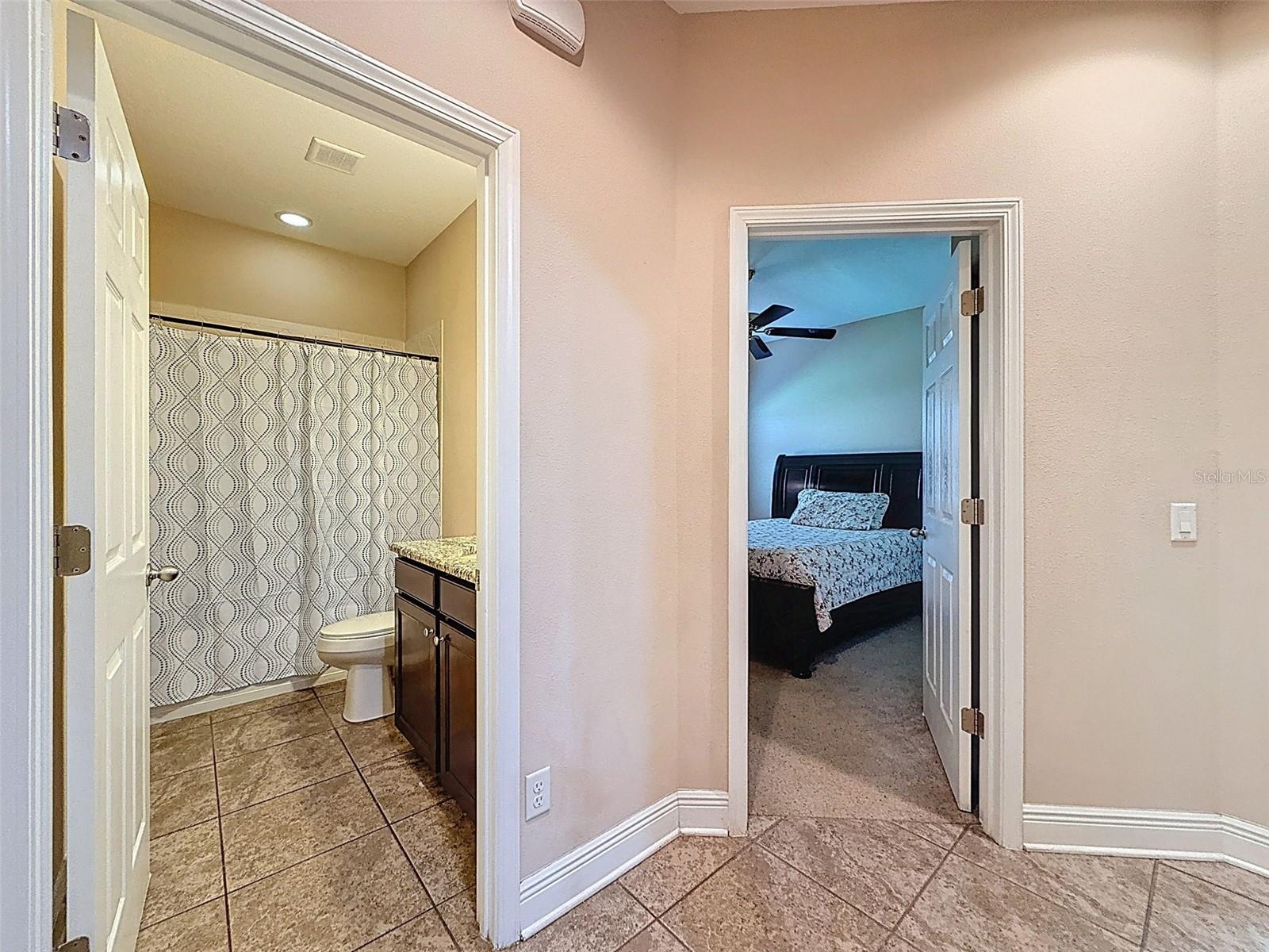 Image 33 of 90 For 335 Cockle Shell Loop