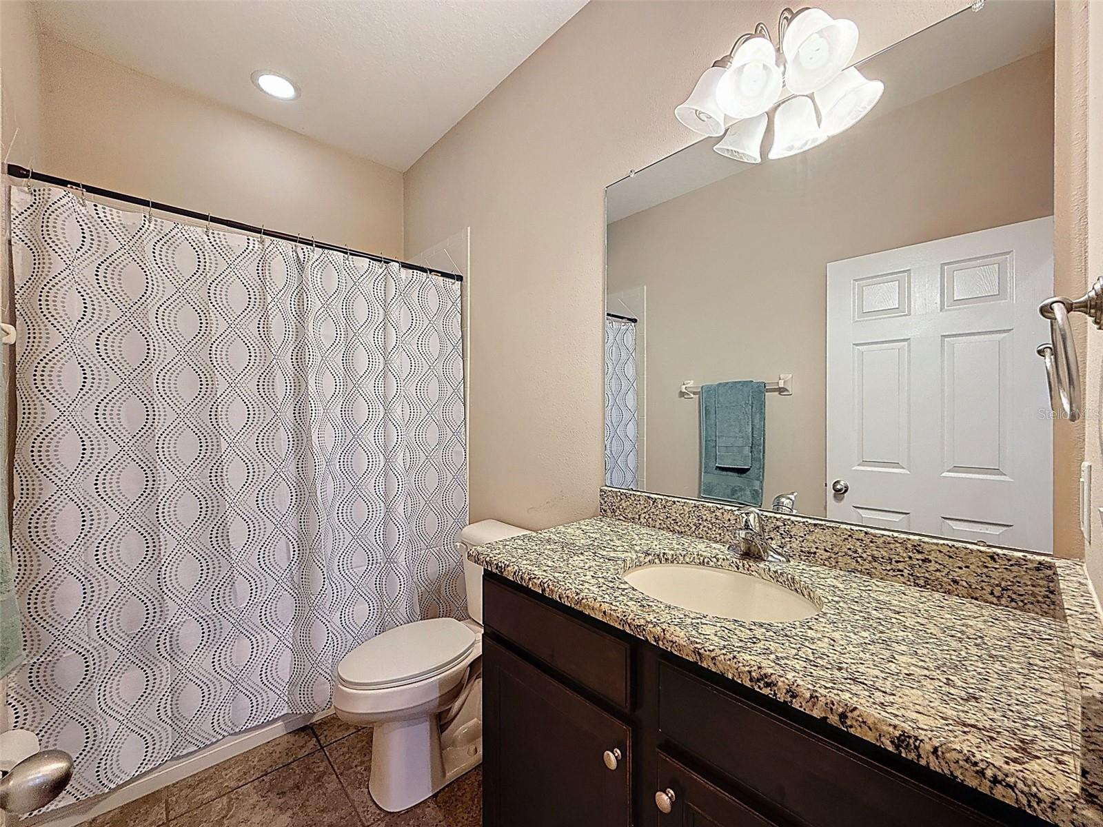 Image 34 of 90 For 335 Cockle Shell Loop