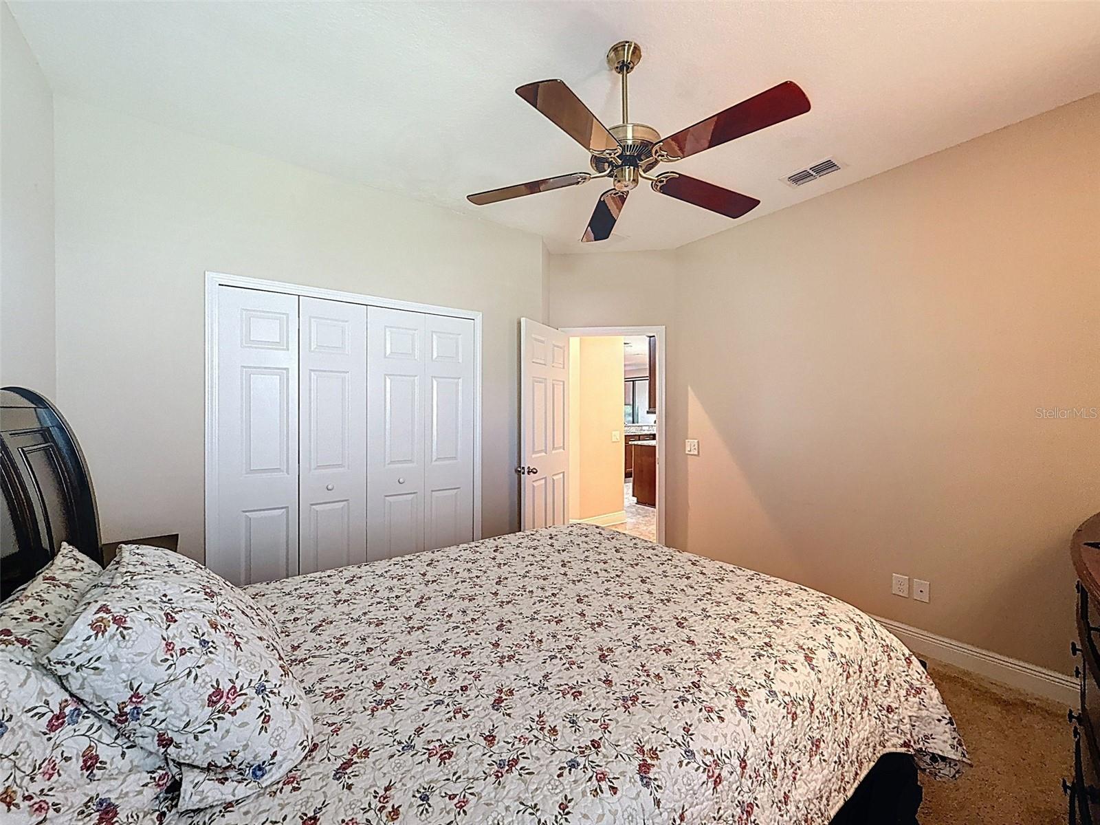 Image 37 of 90 For 335 Cockle Shell Loop