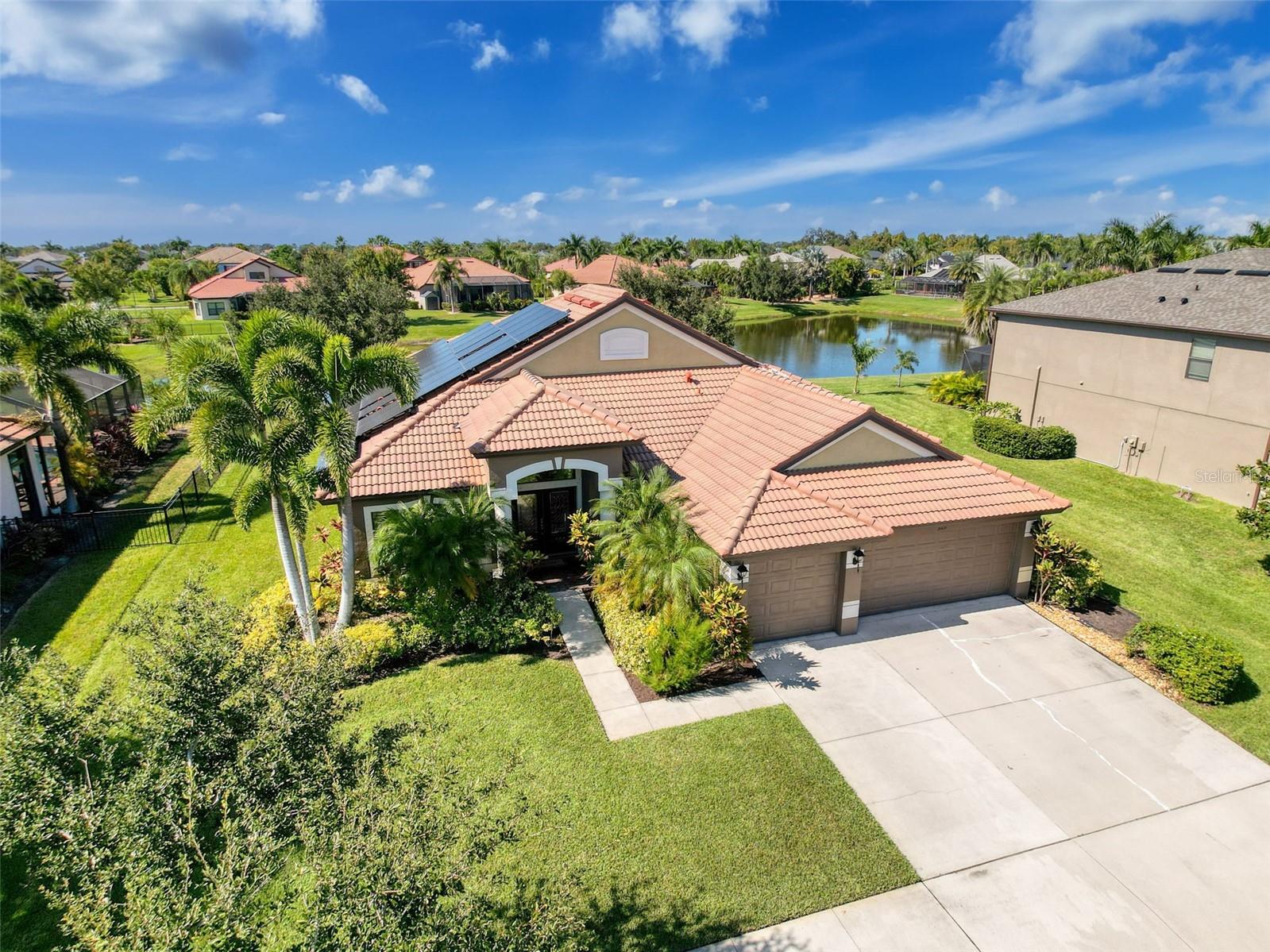 Image 4 of 90 For 335 Cockle Shell Loop