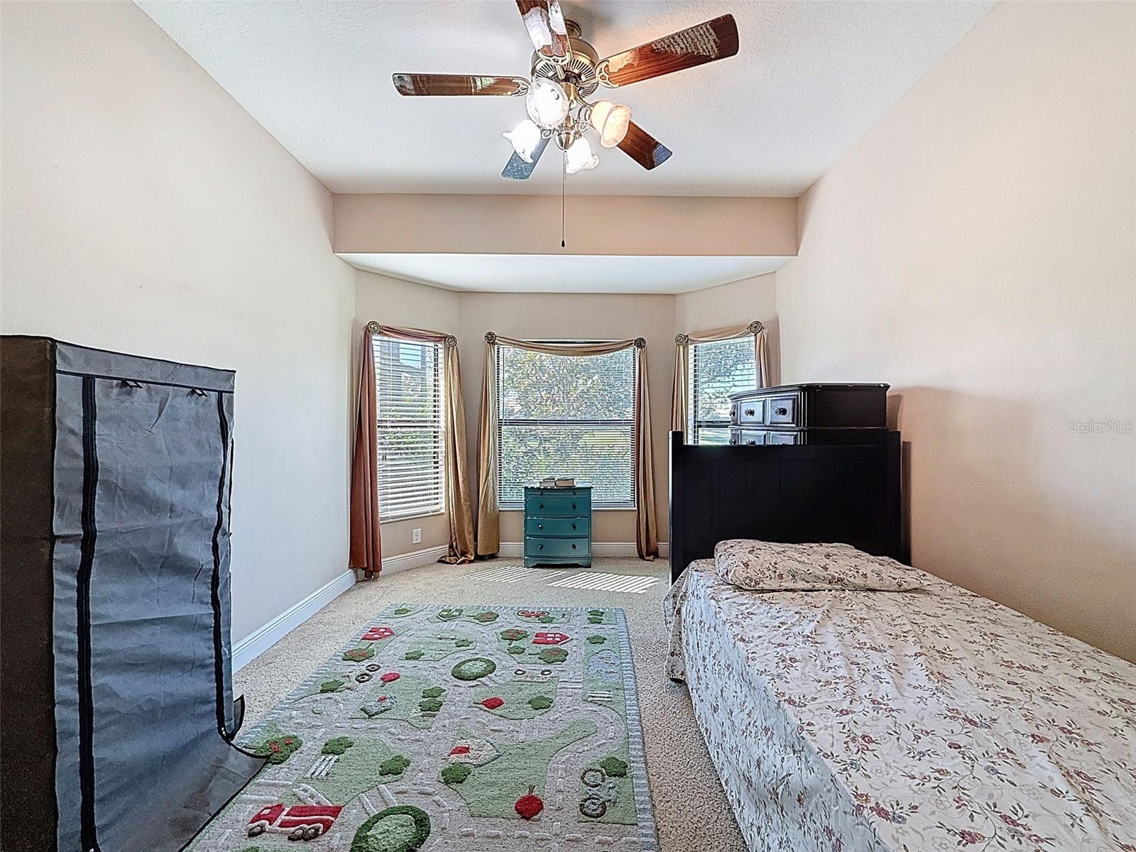 Image 41 of 90 For 335 Cockle Shell Loop