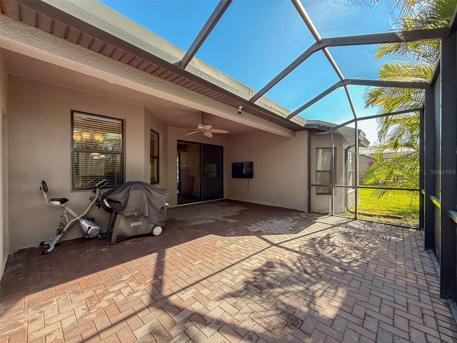 Image 49 of 90 For 335 Cockle Shell Loop