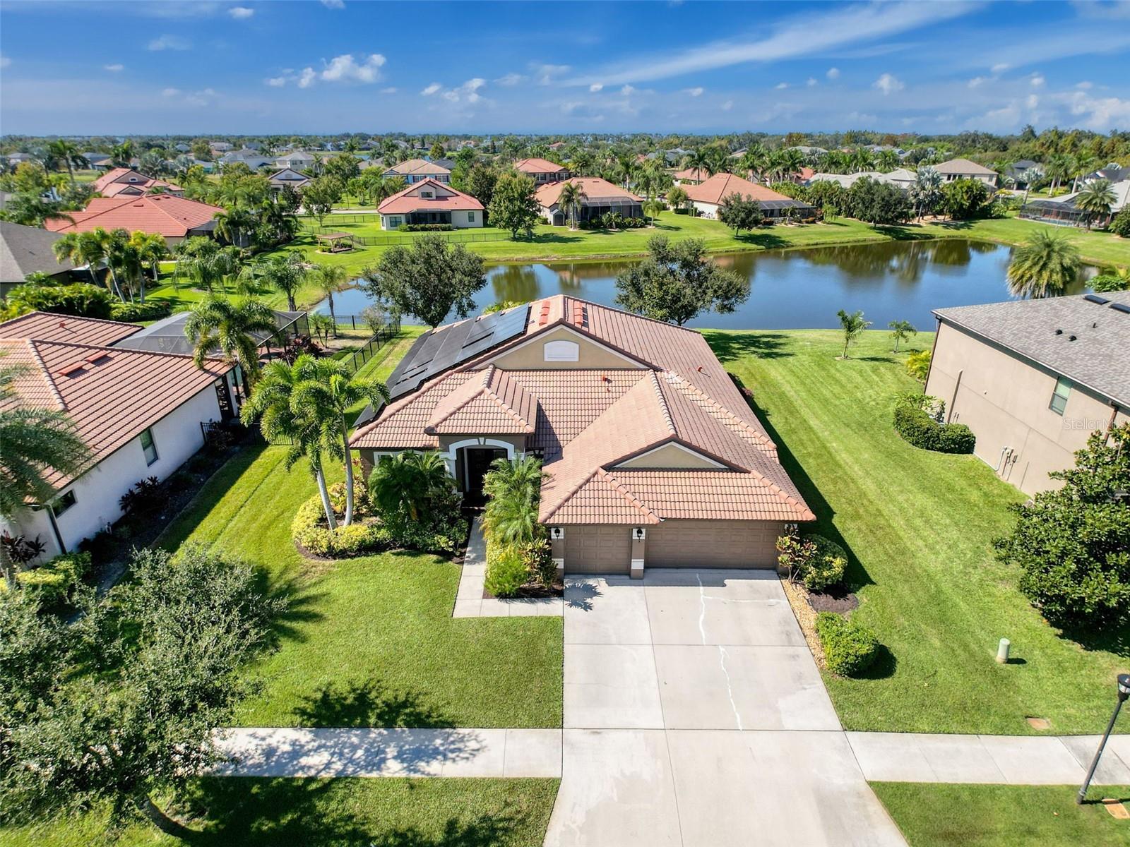 Image 5 of 90 For 335 Cockle Shell Loop