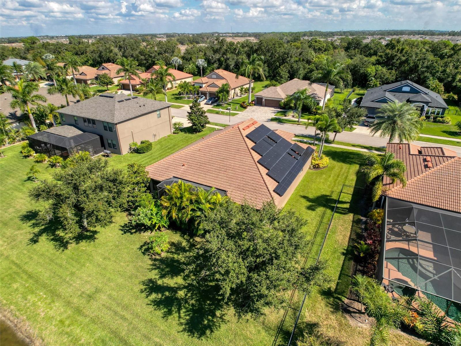 Image 55 of 90 For 335 Cockle Shell Loop