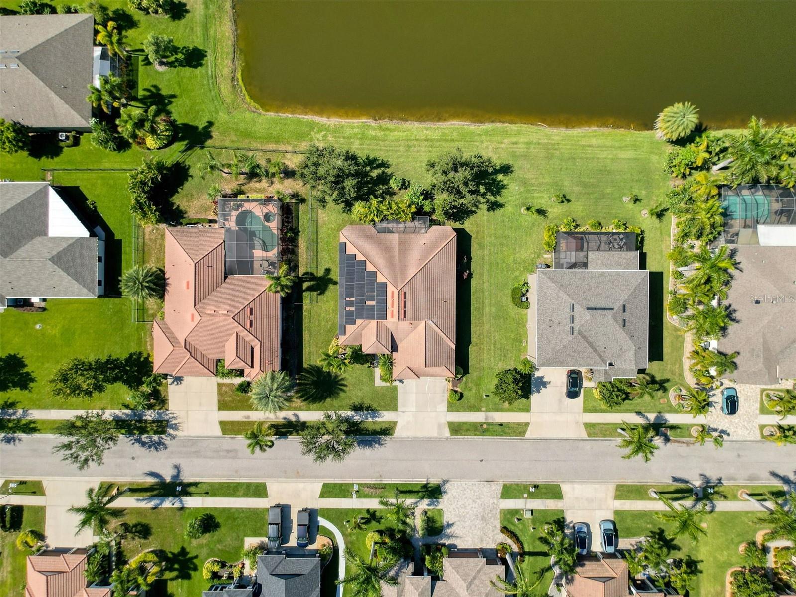 Image 60 of 90 For 335 Cockle Shell Loop