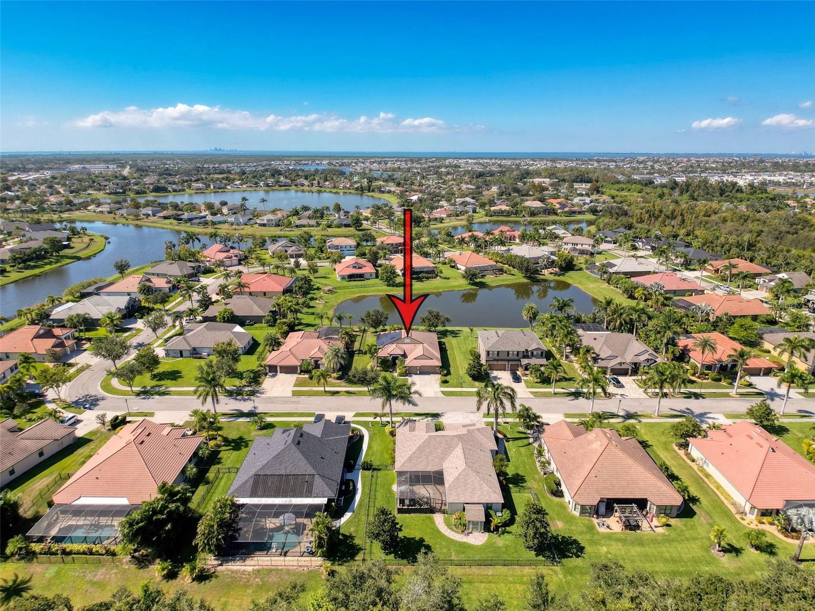 Image 62 of 90 For 335 Cockle Shell Loop