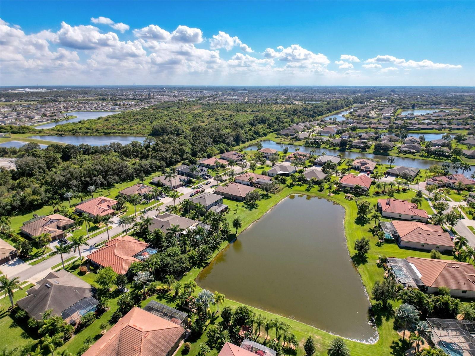 Image 64 of 90 For 335 Cockle Shell Loop