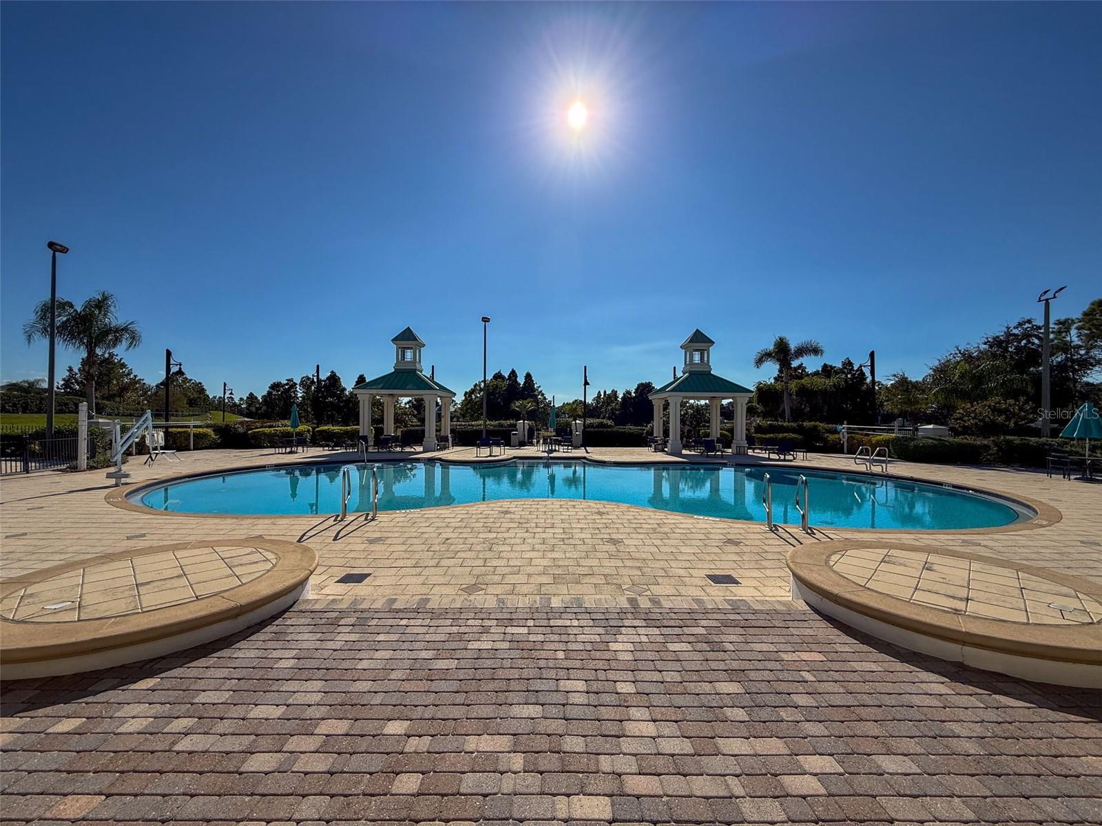 Image 82 of 90 For 335 Cockle Shell Loop