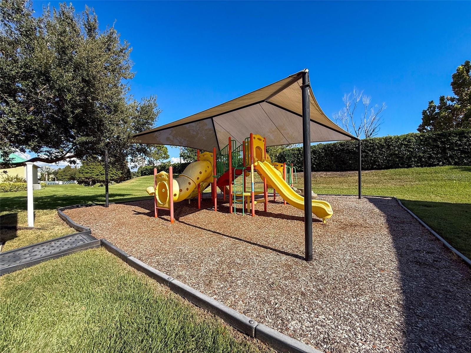 Image 87 of 90 For 335 Cockle Shell Loop