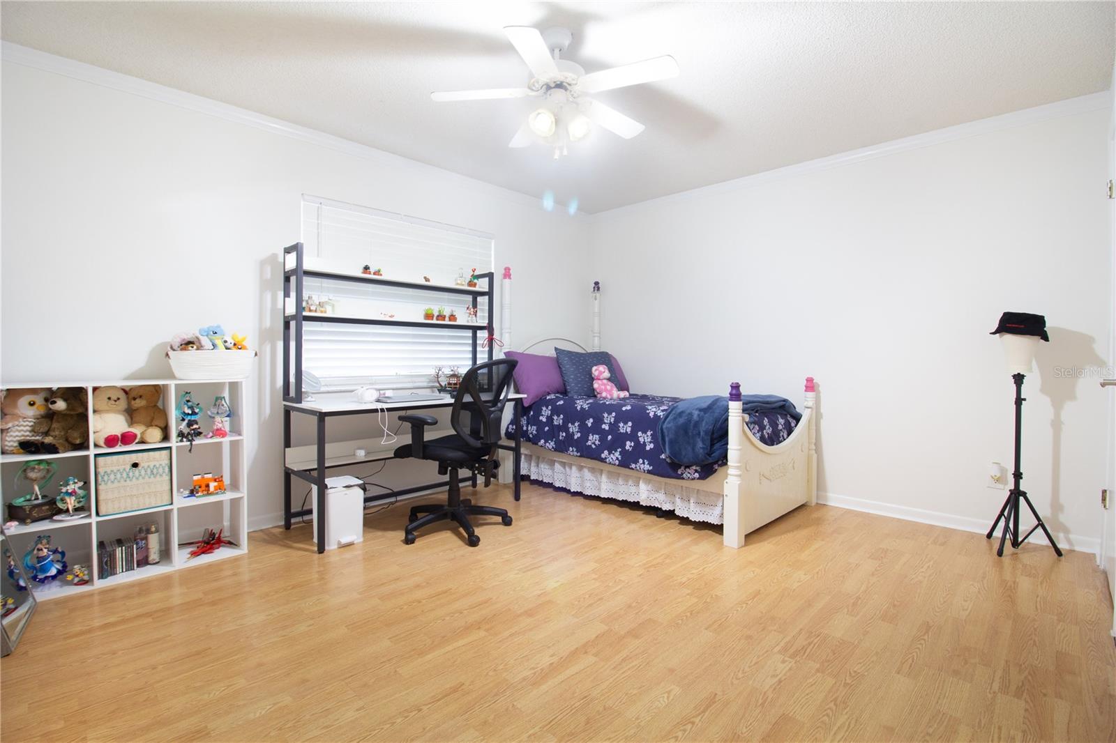 Image 39 of 57 For 547 Oleander Way S