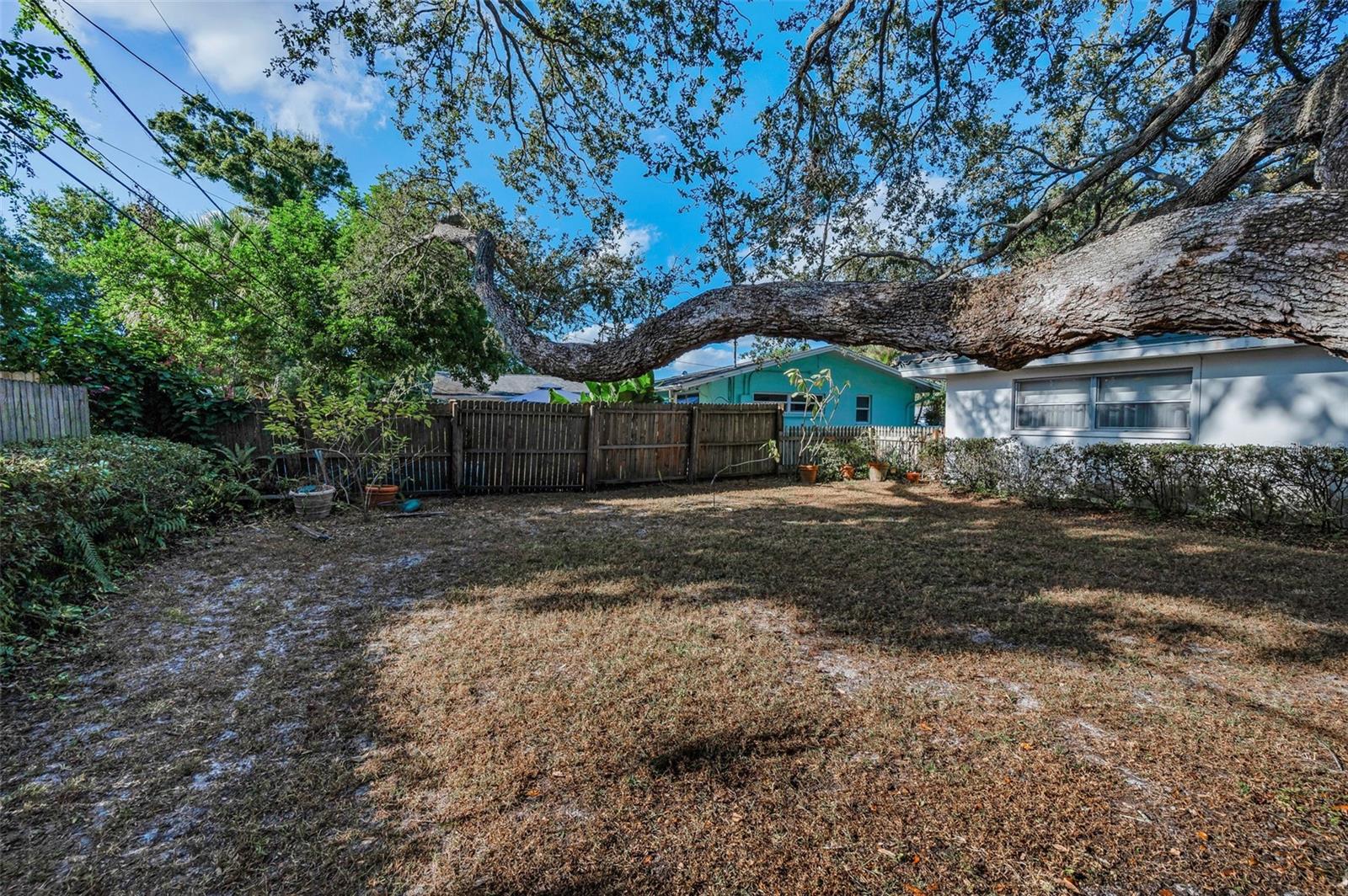 Image 38 of 68 For 2218 Hennesen Drive