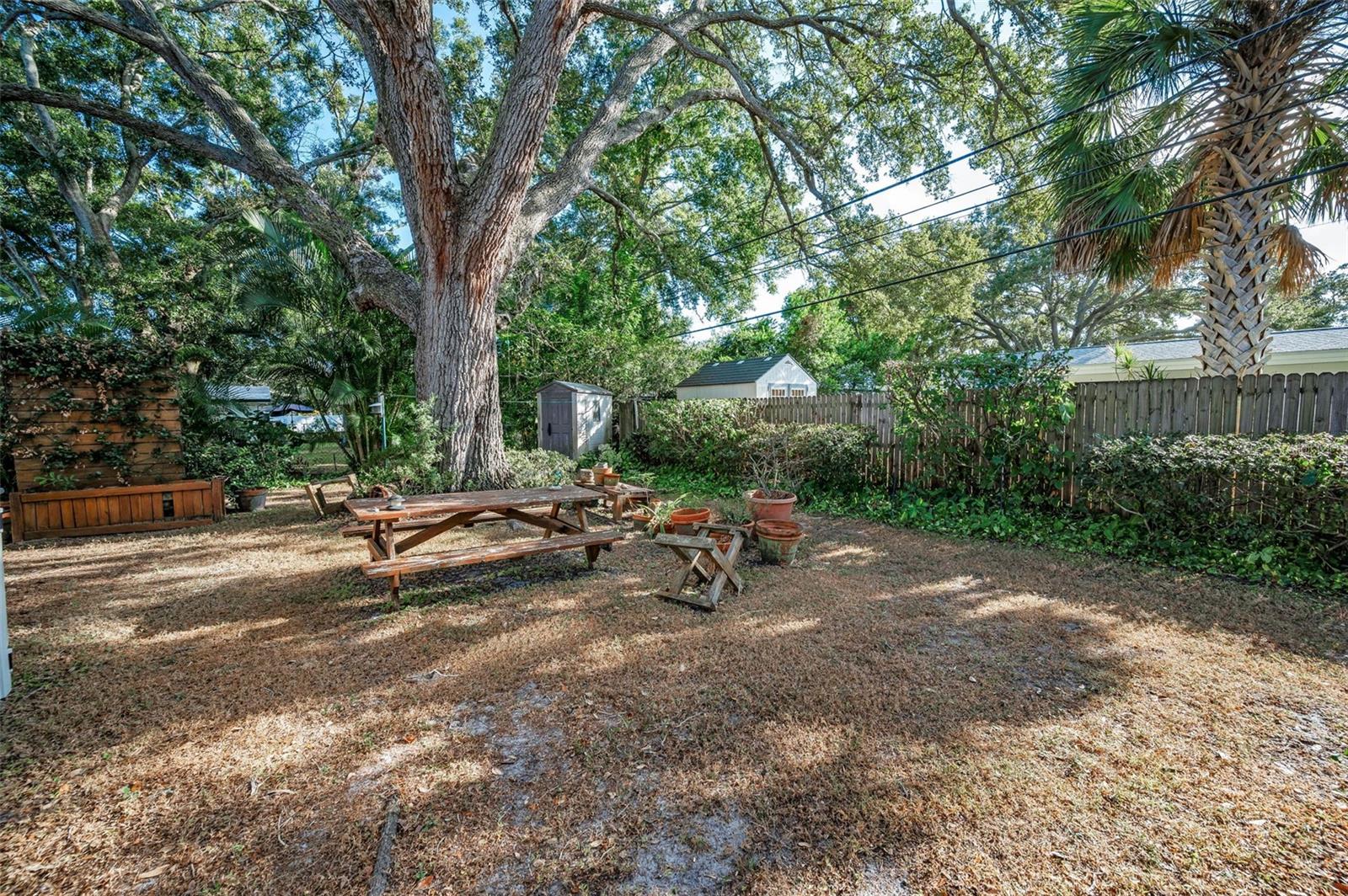 Image 42 of 68 For 2218 Hennesen Drive