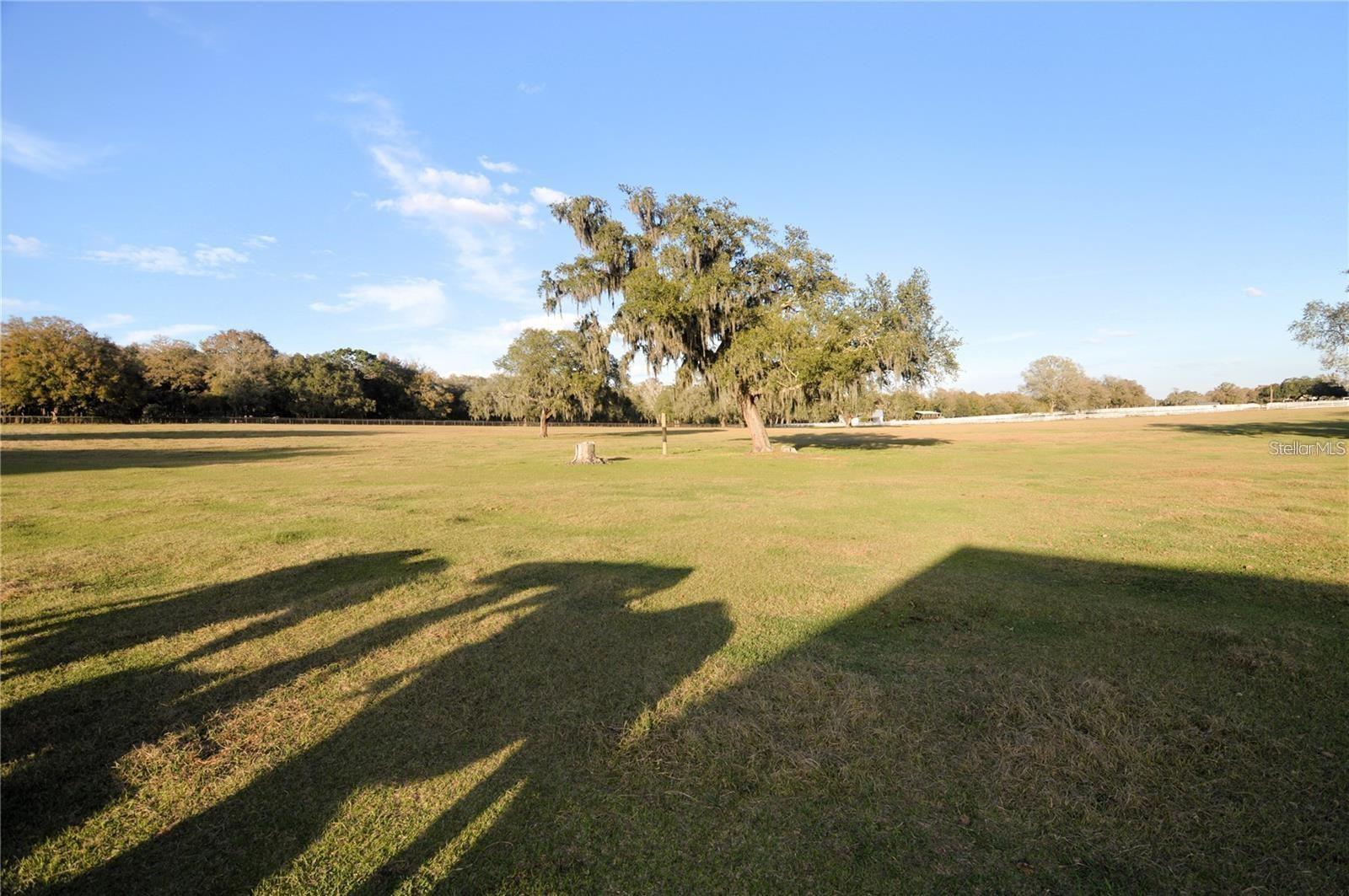 Details for  Arabian Way , DADE CITY, FL 33523