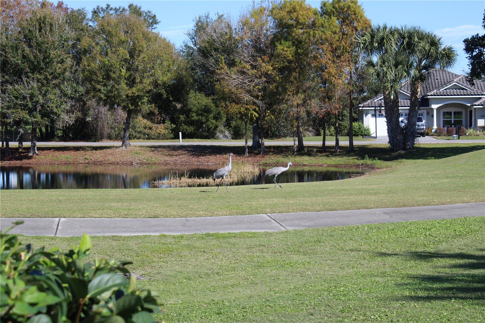 Image 39 of 43 For 30501 Island Club Drive