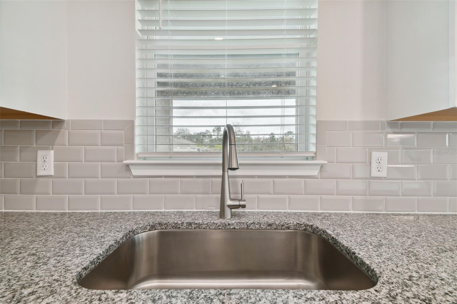 Image 12 of 95 For 10050 Brown Burrow Street