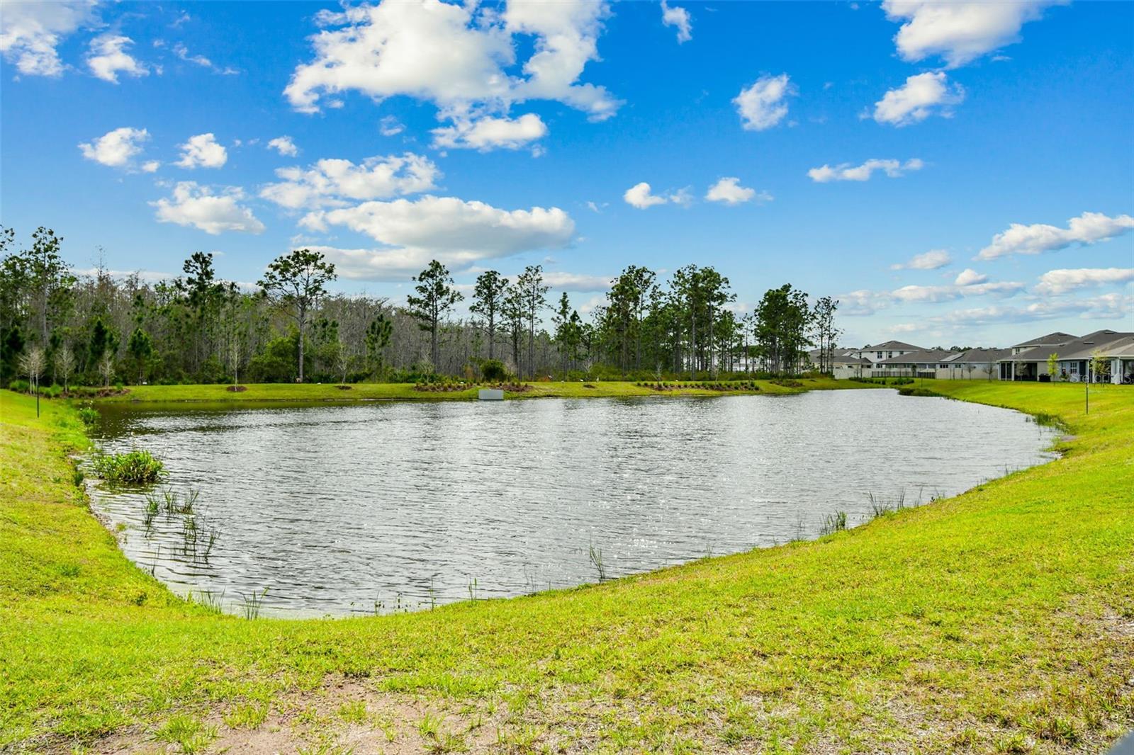 Image 51 of 95 For 10050 Brown Burrow Street