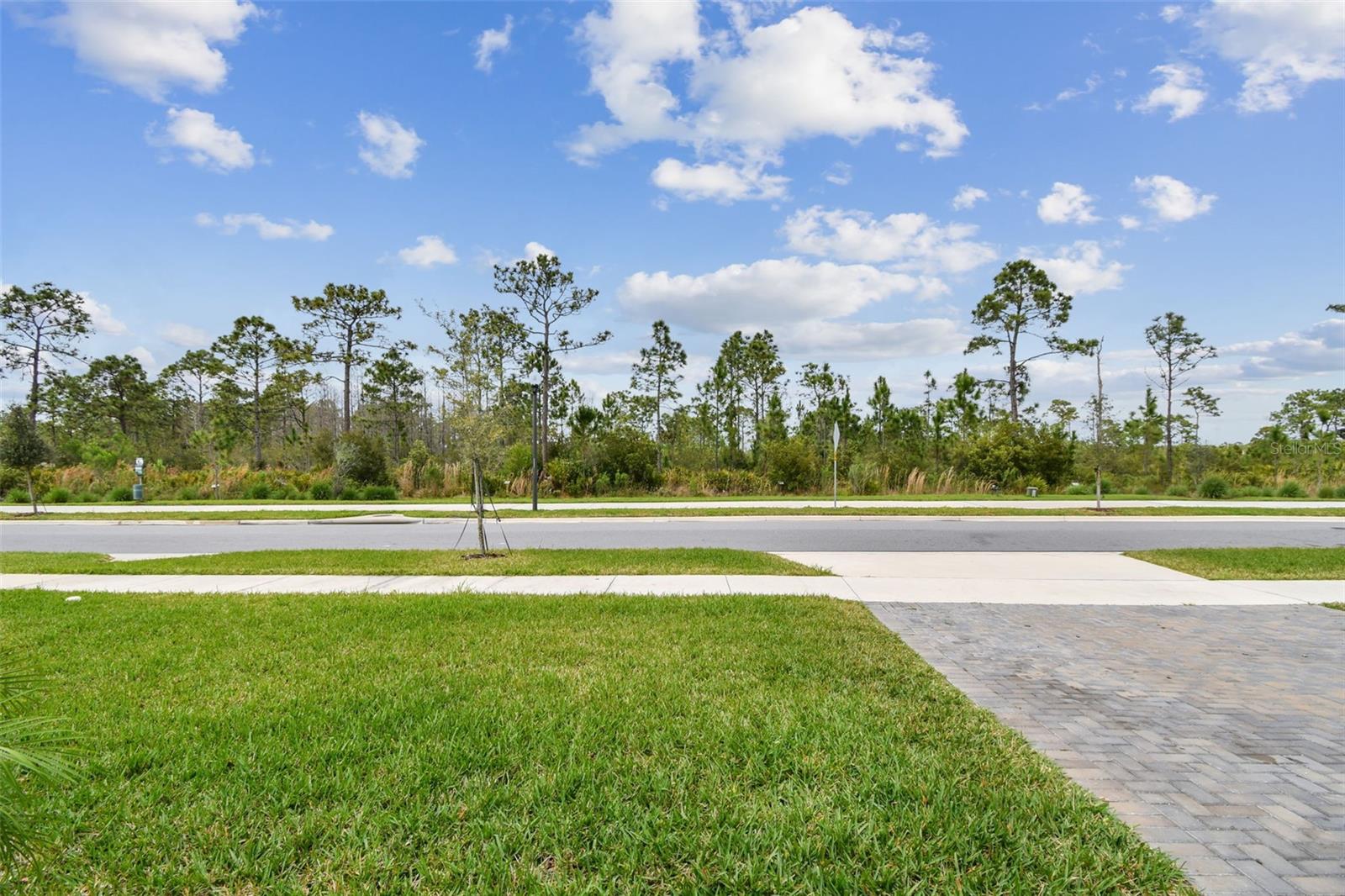 Image 54 of 95 For 10050 Brown Burrow Street