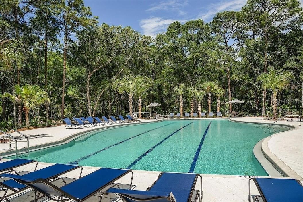 Image 20 of 34 For 3664 Clay Pot Drive