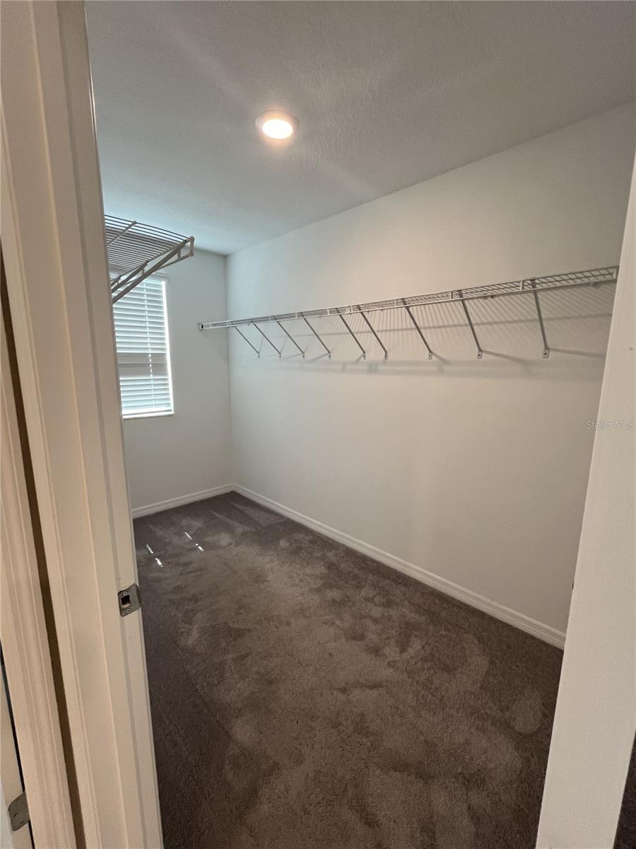 Image 20 of 35 For 241 Argyll Drive