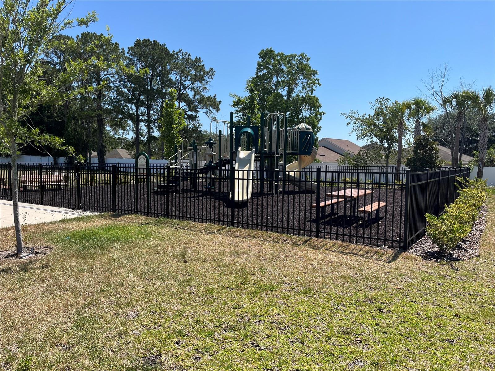 Image 33 of 35 For 241 Argyll Drive